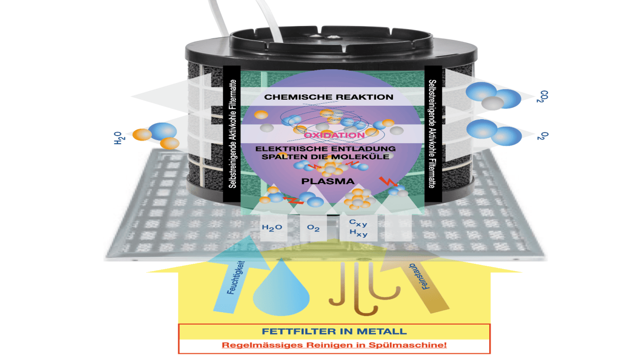 Schema Plasmafunktion