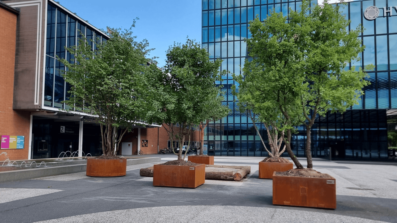 modern und zeitlos fügt sich die Bepflanzung ins Stadtbild