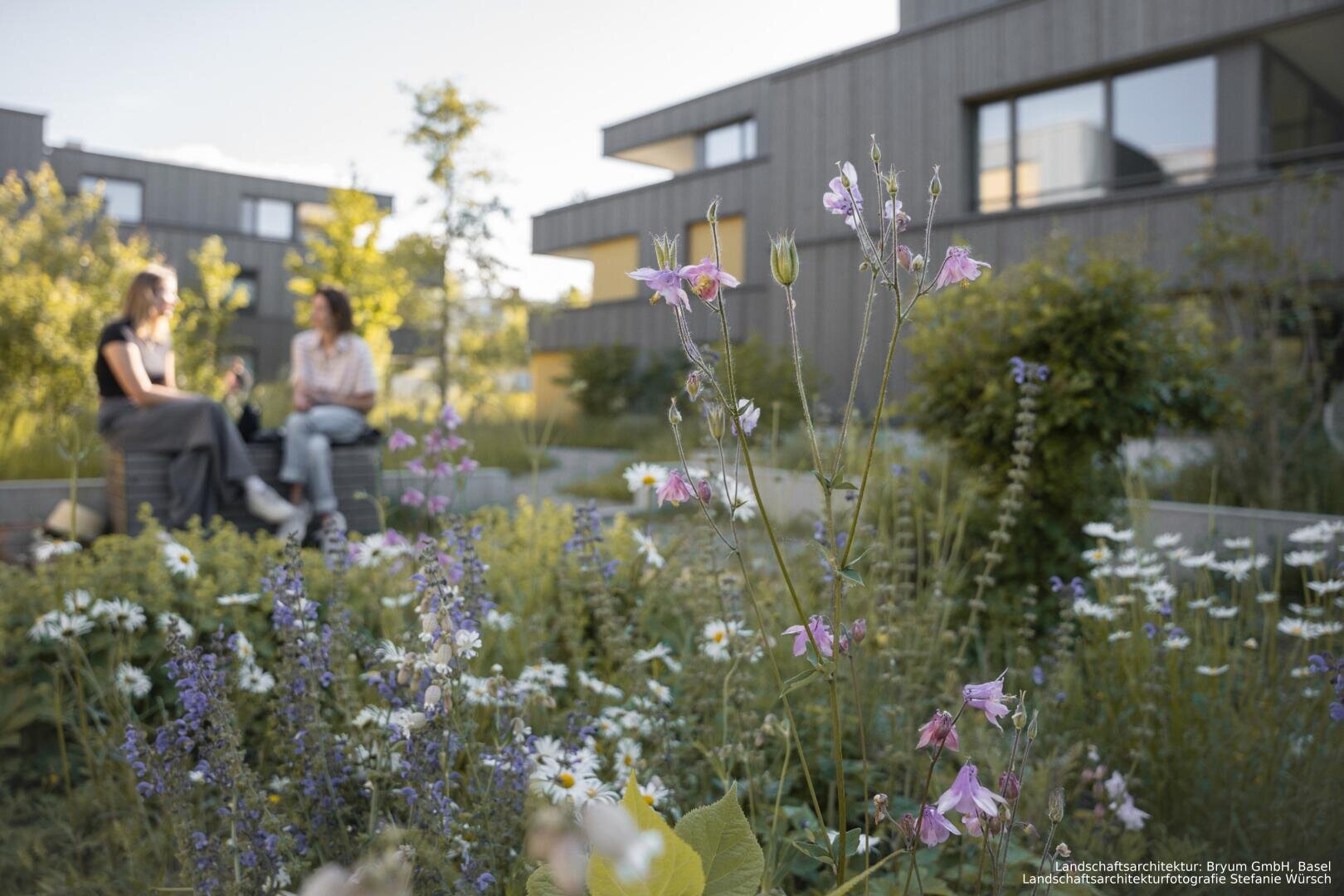 Zwei Personen sitzen und unterhalten sich auf Bänken in einem modernen Garten, umgeben von Wildblumen und Grünpflanzen, mit unscharfen Wohngebäuden im Hintergrund. Rosa und weiße Blumen sind im Vordergrund zu sehen.