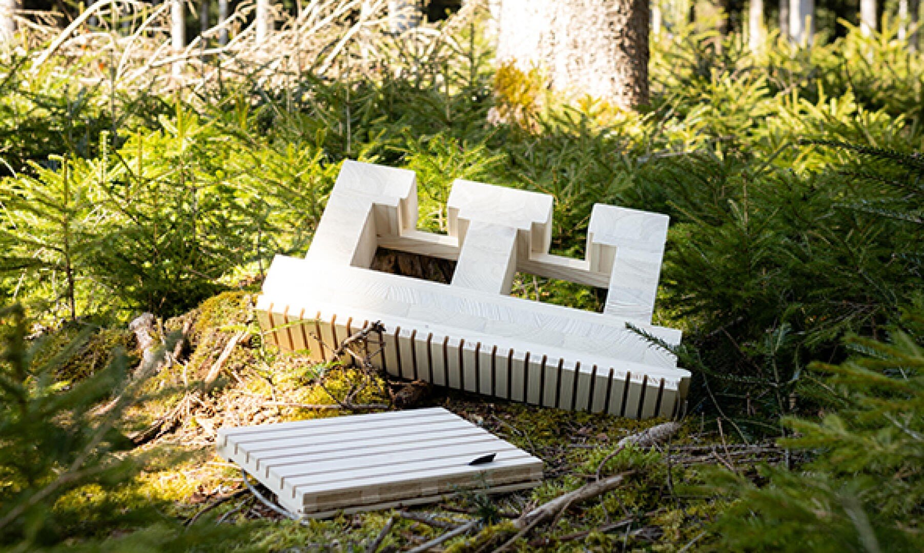 Deux objets en bois aux motifs géométriques sont posés sur le sol de la forêt, entourés de fougères vertes et d'arbres. La lumière du soleil passe à travers les branches et éclaire la scène.