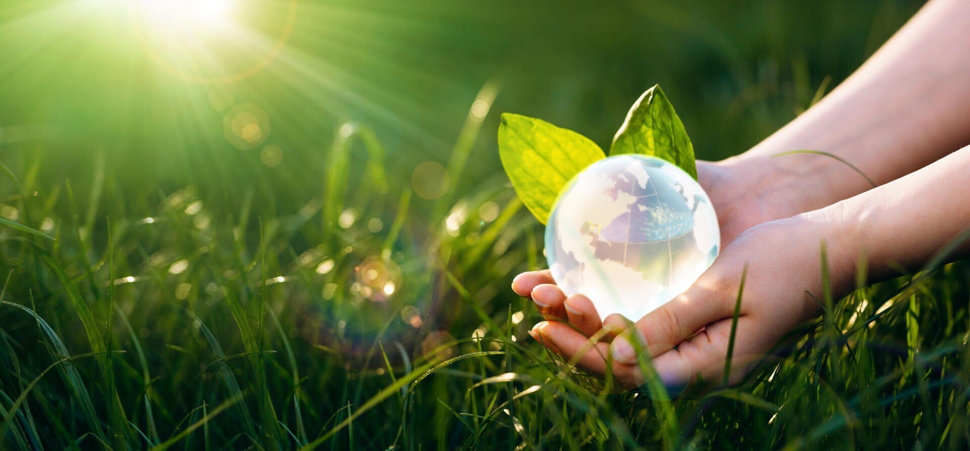 Hände halten sanft eine Glaskugel mit grünen Blättern in einem grasbewachsenen Feld, das Umweltschutz und Nachhaltigkeit symbolisiert, wobei das Sonnenlicht von der oberen linken Ecke hereinstrahlt.