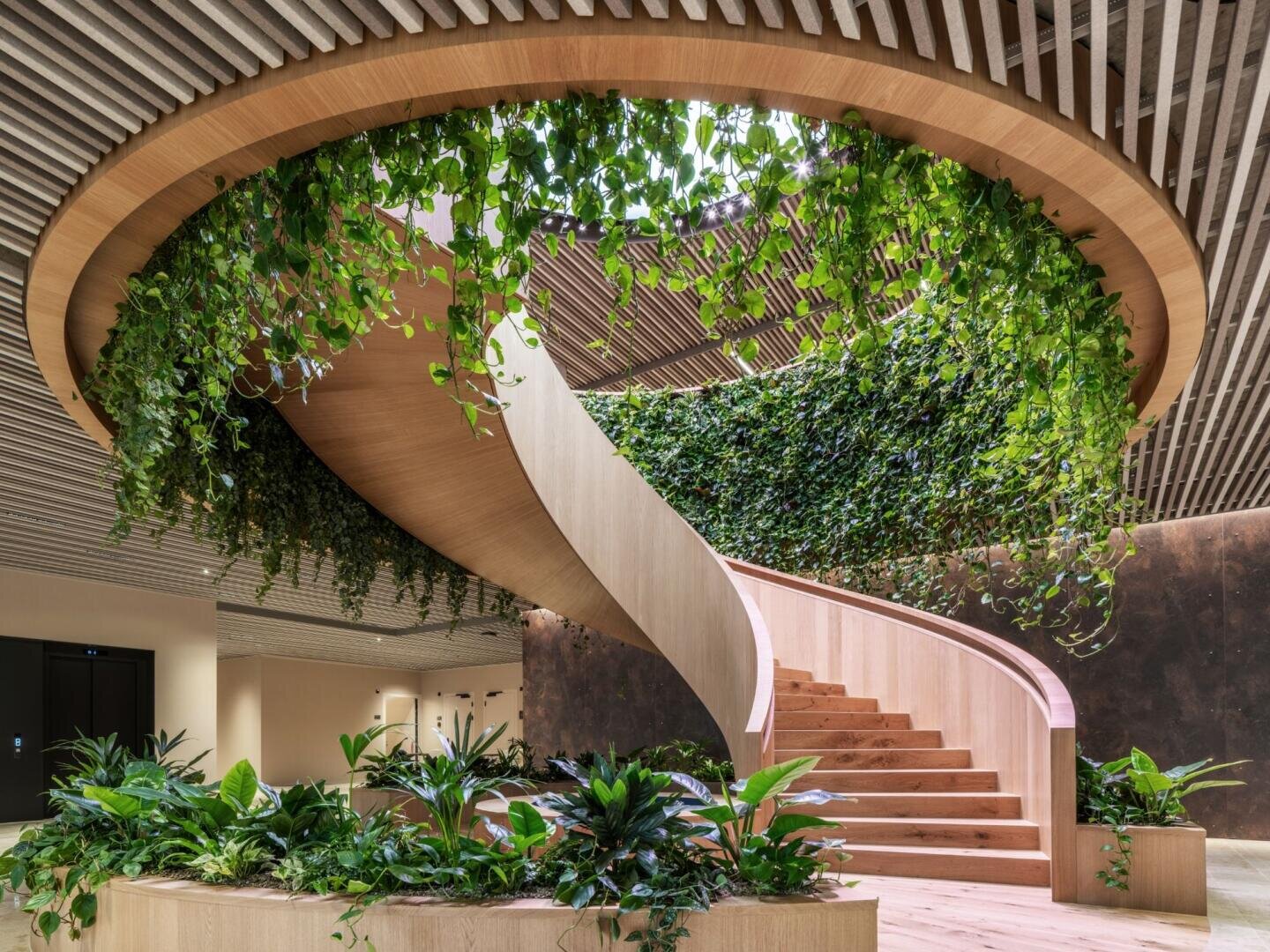 Un escalier en colimaçon moderne en bois, entouré de plantes vertes luxuriantes et de vignes suspendues, dans un intérieur clair et ouvert avec un plafond en lattes et une lumière naturelle.