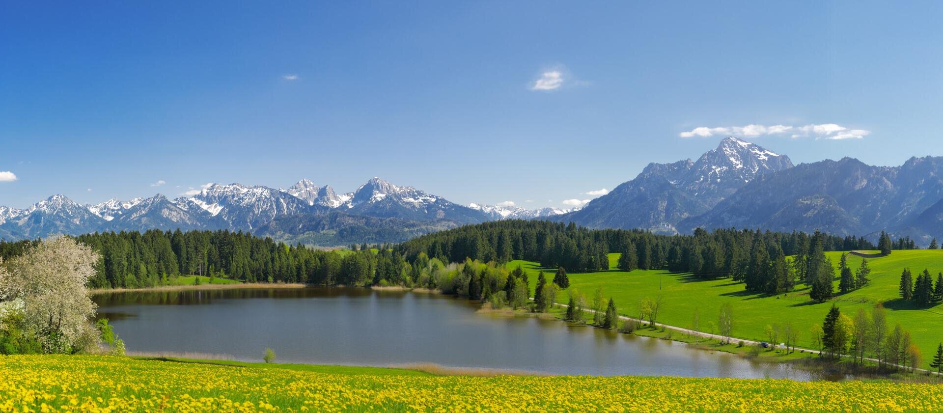 Ein ruhiger See, umgeben von grünen Feldern mit gelben Wildblumen, dichten Wäldern und schneebedeckten Bergen unter einem klaren blauen Himmel.