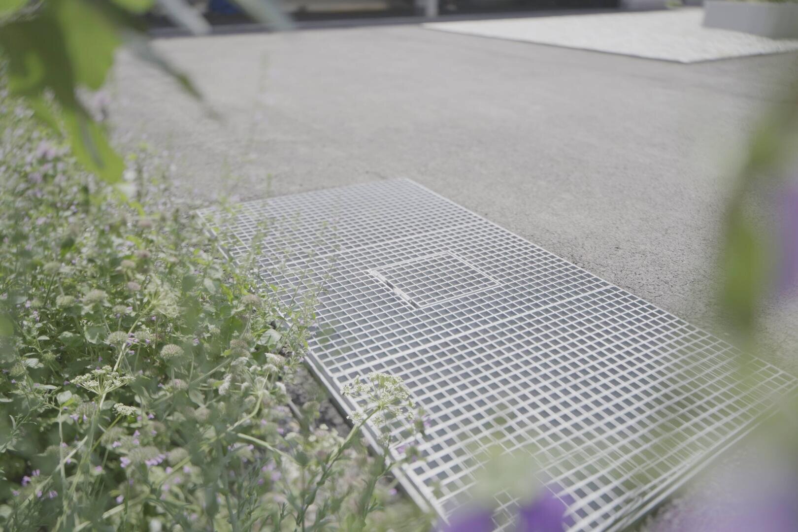 Une couverture en treillis métallique est installée au-dessus d'une ouverture dans le sol à côté d'une surface pavée à côté de laquelle poussent des plantes vertes et des fleurs violettes. La scène apparaît à l'extérieur avec un éclairage naturel doux.