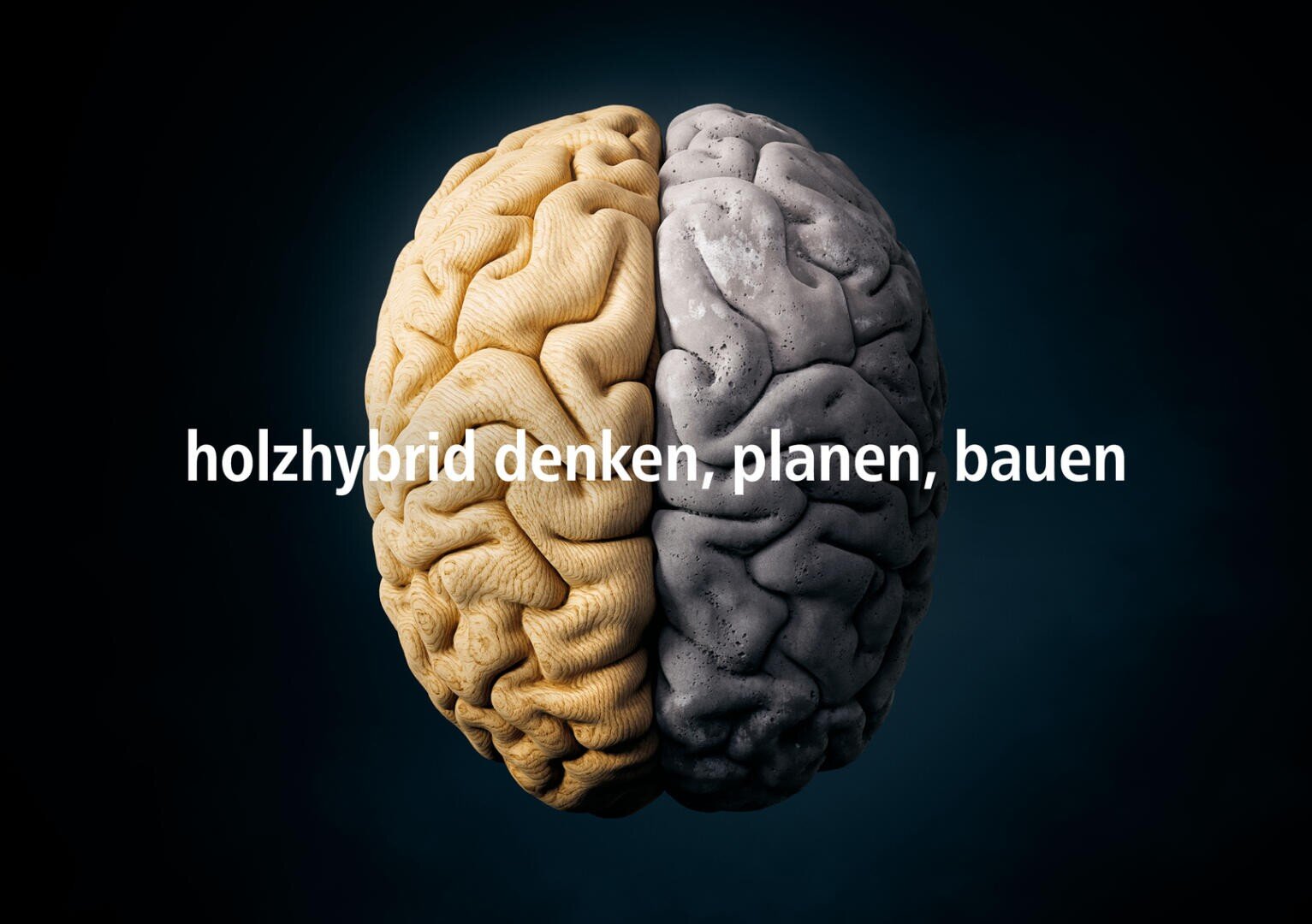 Ein in zwei Hälften geteiltes Gehirn, wobei eine Seite als Holz und die andere als Beton erscheint, auf einem dunklen Hintergrund. Der Text in der Mitte lautet holzhybrid denken, planen, bauen.