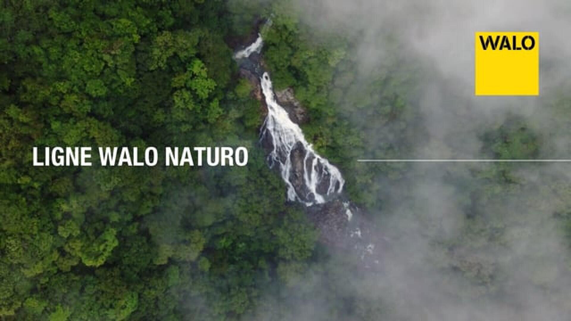 Vue aérienne d'une cascade s'écoulant dans une forêt verdoyante, partiellement recouverte de brume. Le texte LIGNE WALO NATURO apparaît à gauche, et une boîte jaune avec WALO à droite.