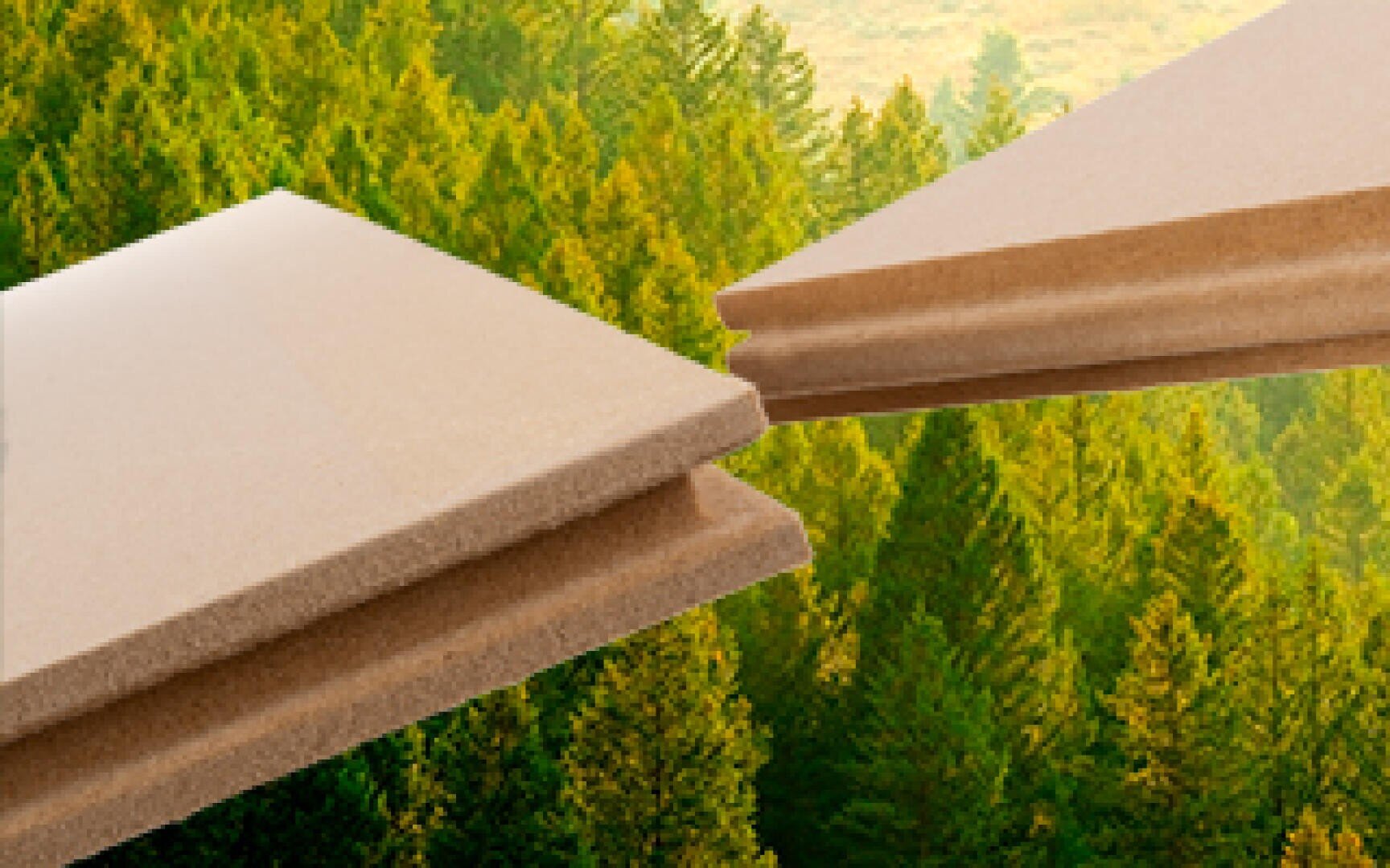 Deux panneaux isolants rectangulaires en fibres de bois brun clair avec des bords à rainure et languette sur fond de forêt dense et verte de conifères.