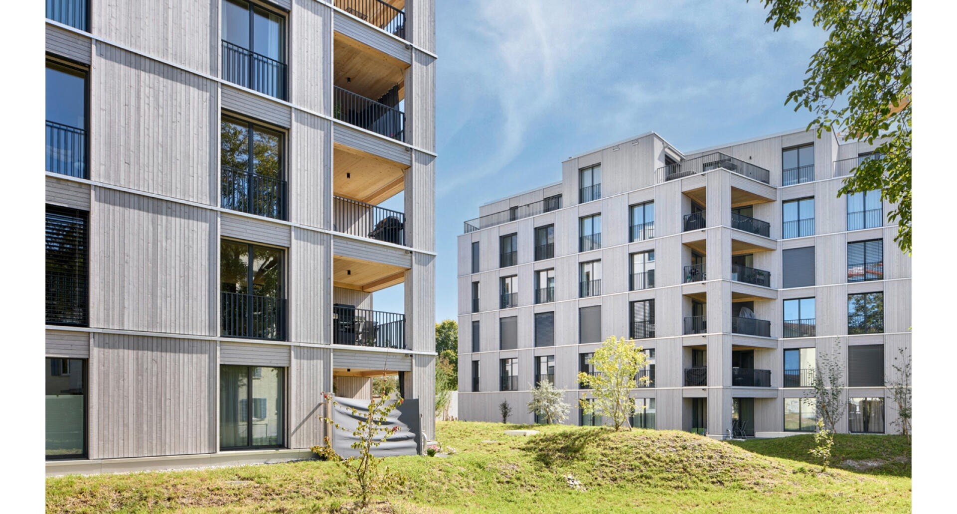 Zwei moderne, mehrstöckige Wohnhäuser mit Holzfassaden und Balkonen, umgeben von grünem Gras, jungen Bäumen und einem klaren blauen Himmel im Hintergrund.