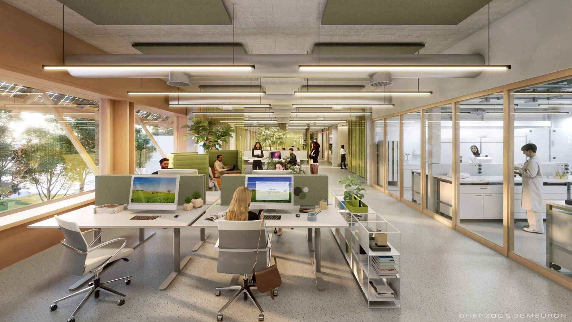 Modernes Großraumbüro mit großen Fenstern, grünen Akzenten und mehreren Personen, die an Schreibtischen mit Computern arbeiten. Natürliches Licht erfüllt den Raum, und Pflanzen tragen zu der hellen, luftigen Atmosphäre bei. Eine Glaswand trennt einen weiteren Bürobereich ab.