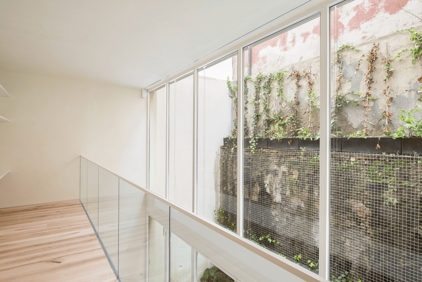 Ein helles, minimalistisches Interieur mit hellem Holzfußboden, Glasgeländer und hohen Fenstern mit Blick auf eine kleine, mit grünen Weinreben bewachsene Hofmauer. Der Raum wirkt offen und luftig, das natürliche Licht strömt herein.