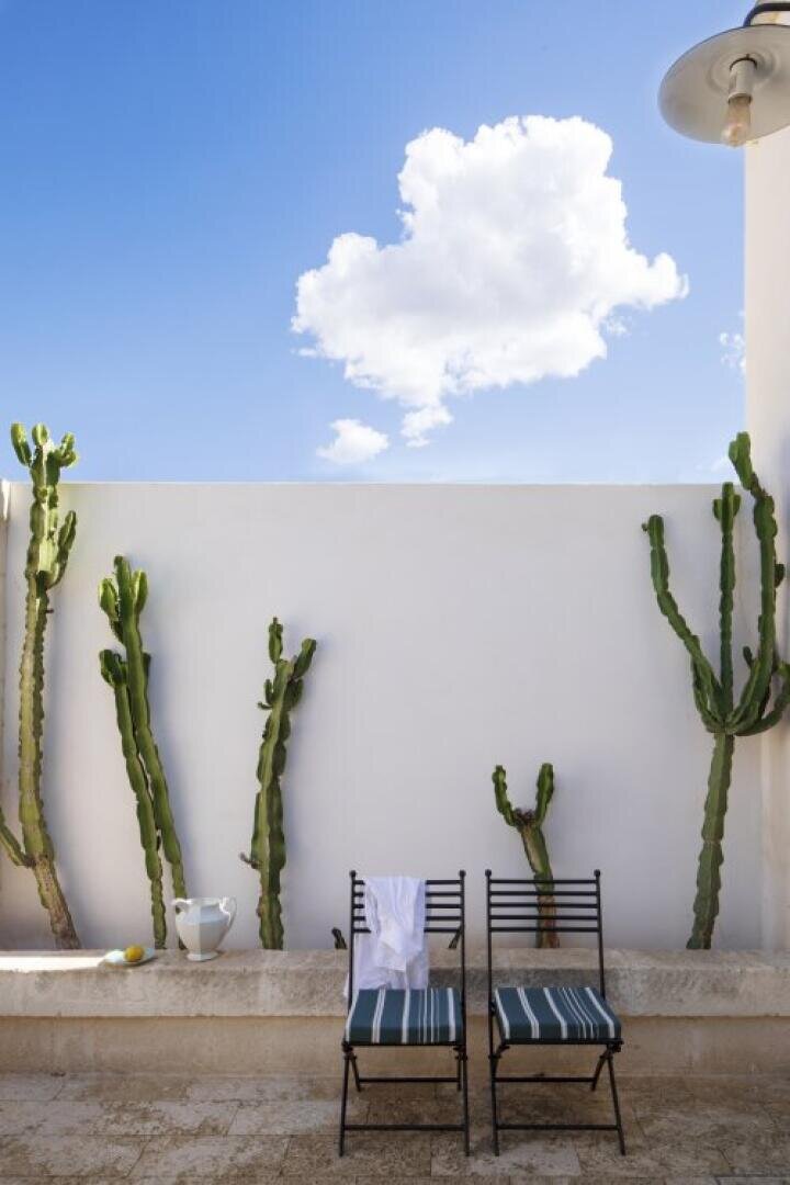 Deux chaises noires avec des coussins rayés sont assises contre un mur blanc décoré de grands cactus ; une serviette blanche, un citron et un pichet se trouvent à proximité. Au-dessus, un ciel lumineux est orné d'un seul nuage blanc et floconneux.