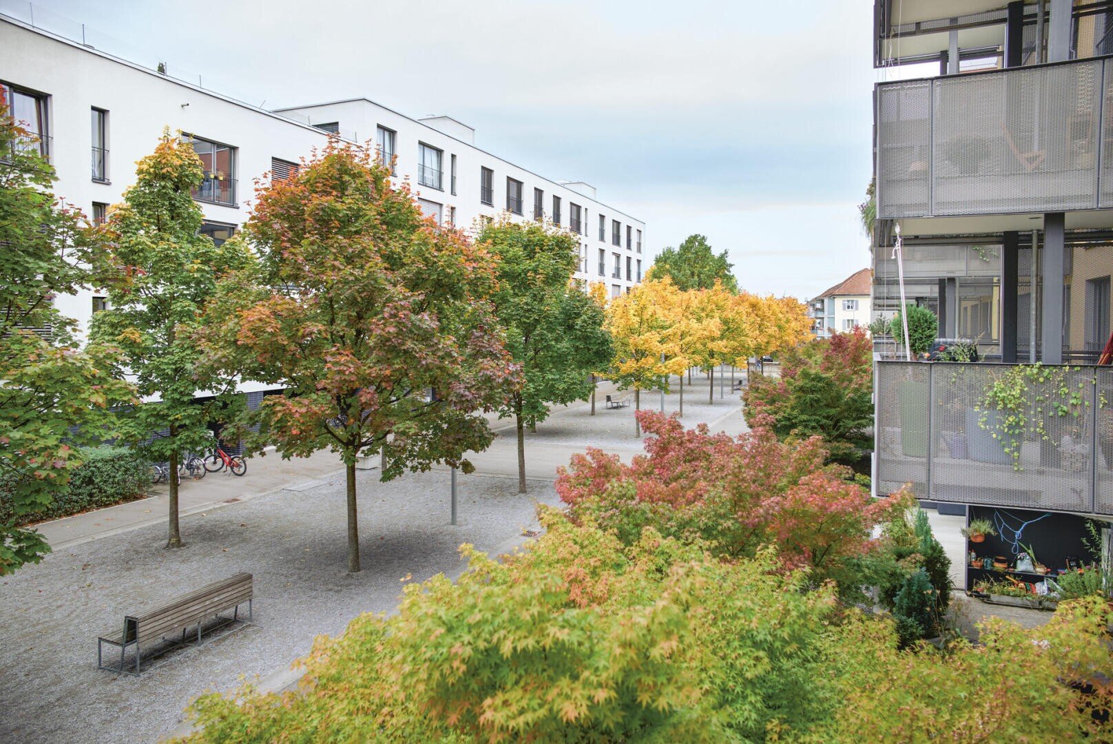 Ein modernes Wohngebiet mit weißen Wohngebäuden, von Bäumen gesäumten Gehwegen und Bänken. Die Bäume tragen grünes, gelbes und orangefarbenes Laub, was auf den frühen Herbst hindeutet. Auf den Balkonen stehen Pflanzen und Gartenmöbel.