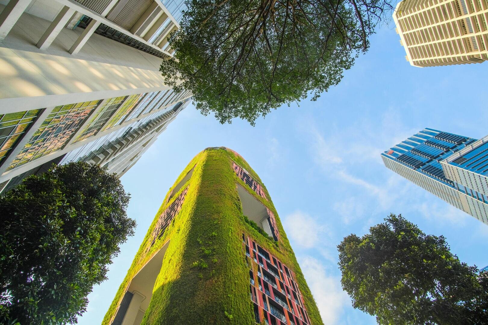 Von der Straße aus sieht man mehrere moderne Wolkenkratzer, darunter einen mit Grünpflanzen bewachsenen und von Bäumen umgebenen, vor einem blauen Himmel mit vereinzelten Wolken.