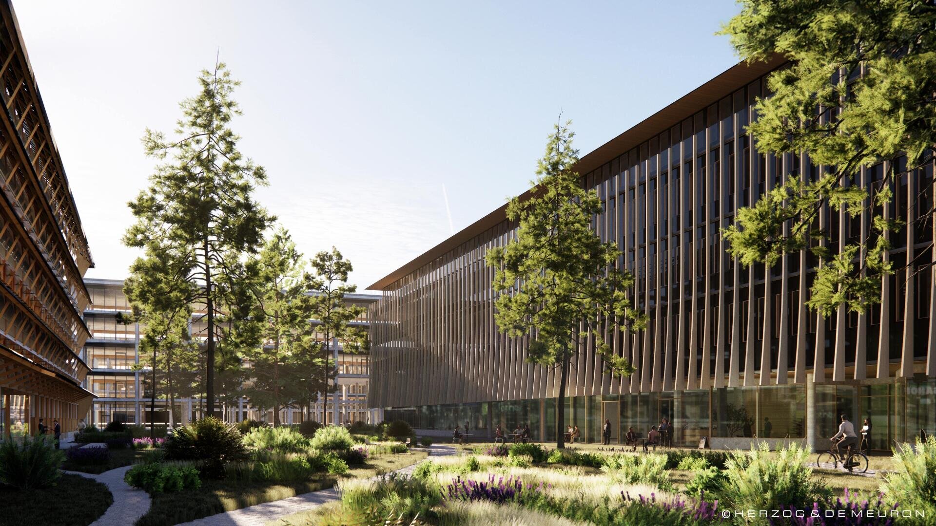 Moderne Bürogebäude mit großen Glasfassaden umgeben einen begrünten Innenhof mit hohen Bäumen, grünen Sträuchern und Spazierwegen unter hellem Himmel. Die Menschen spazieren und fahren mit dem Fahrrad durch den friedlichen Außenbereich.