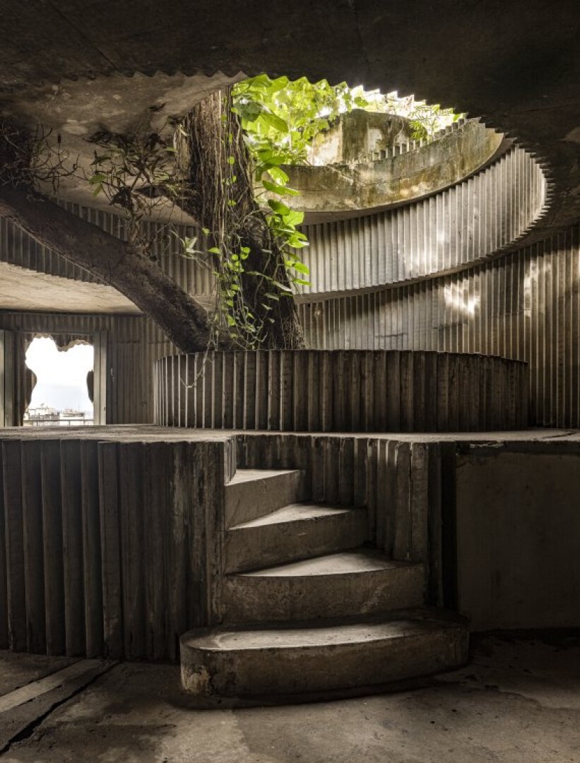 Eine Wendeltreppe aus Beton führt in eine obere Etage, wo ein großer Baum durch eine kreisförmige Öffnung in der Decke wächst und Sonnenlicht und grüne Blätter die raue, strukturierte Architektur beleuchten.