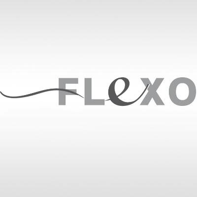 Logo Flexo - Handläufe & Hauslift
