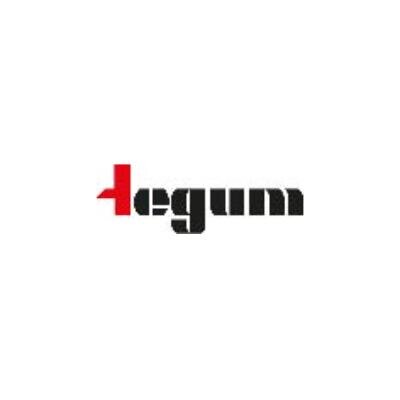 Logo Tegum AG