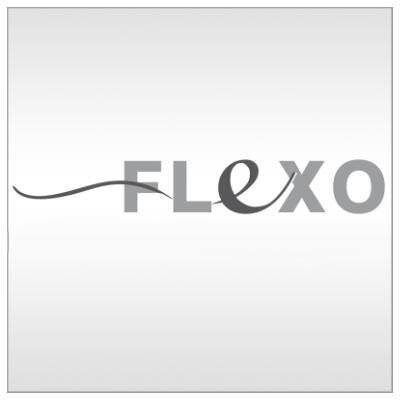 Logo Flexo - Handläufe & Hauslift