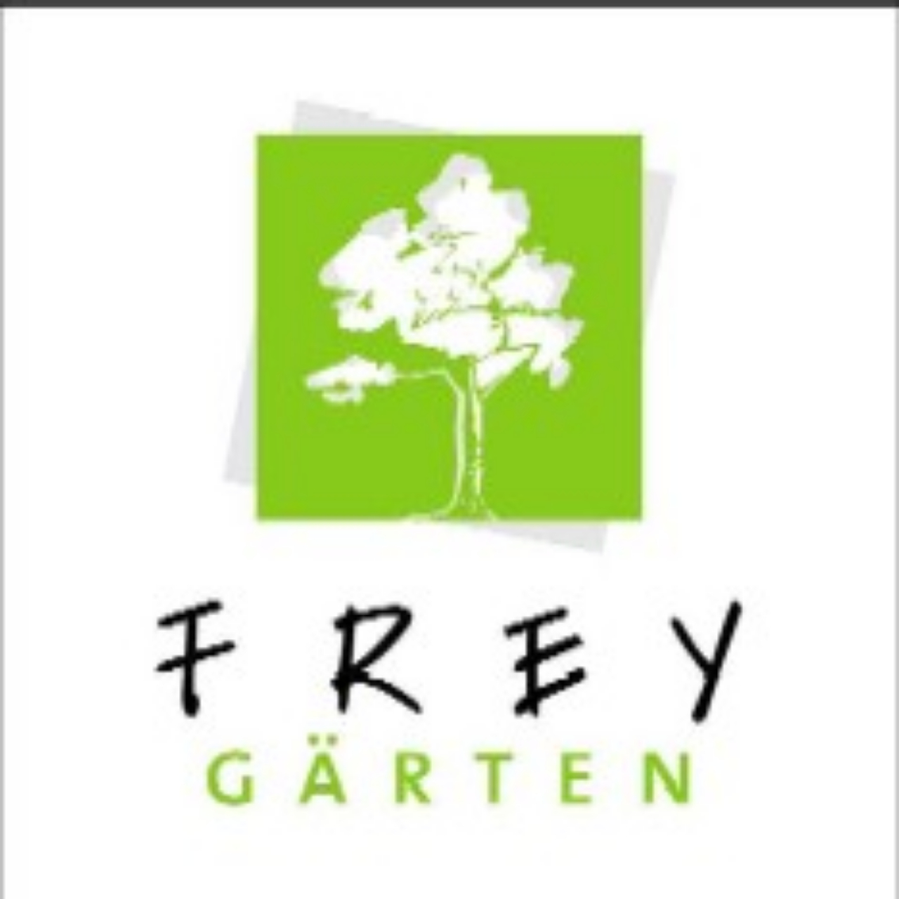 Urs-Martin Frey-Züger