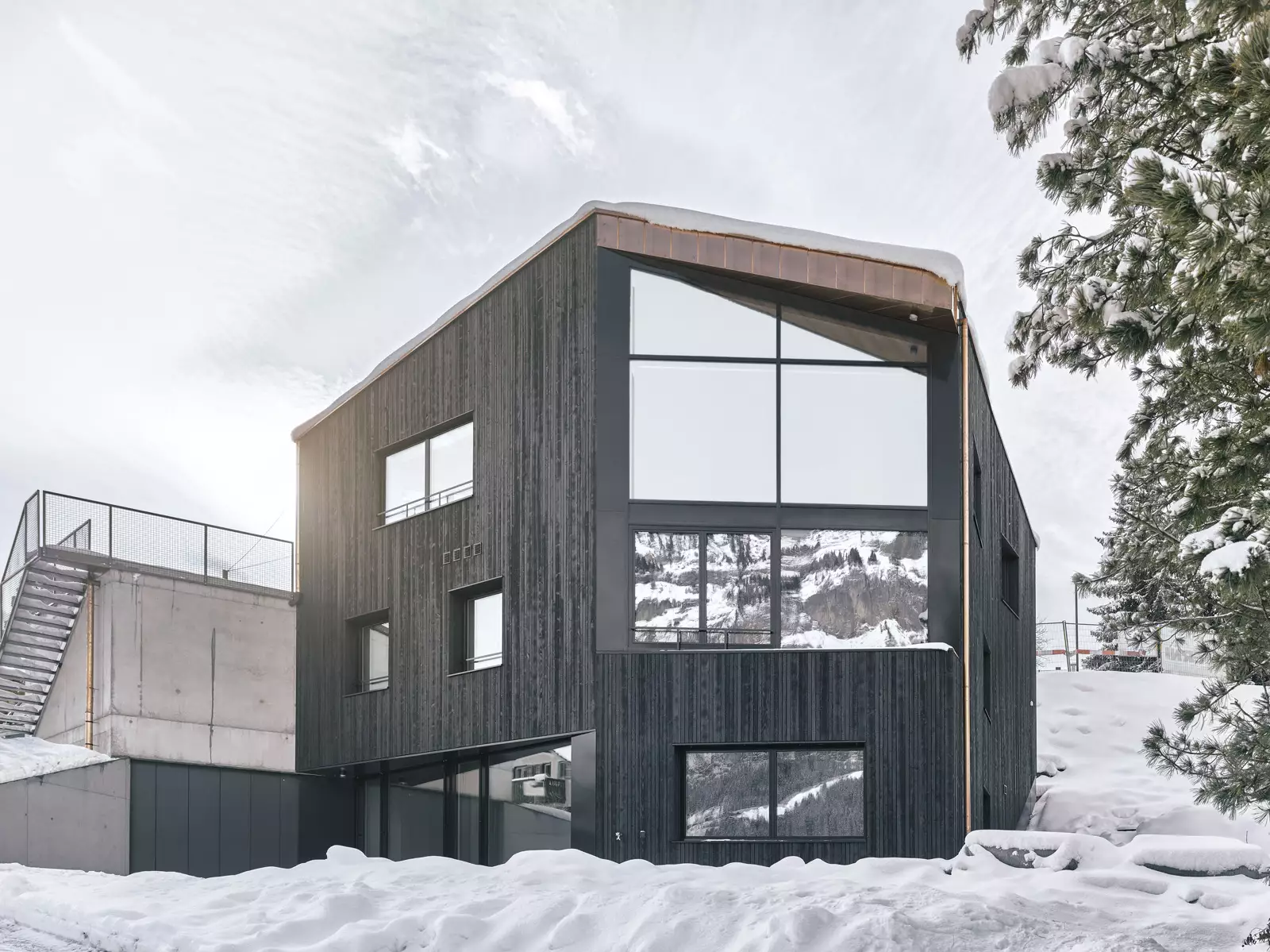 lames de bardage ECONOIR&reg; reptile