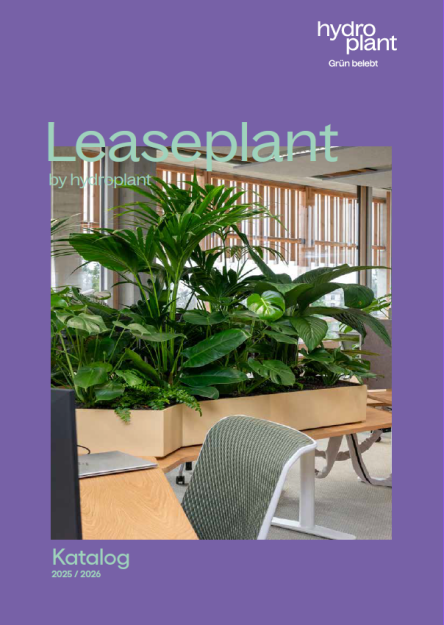 Un espace de bureau moderne avec de grandes plantes vertes dans une jardinière en bois, entouré de bureaux et de chaises, est la couverture d'un catalogue intitulé Leaseplant d'hydroplant.