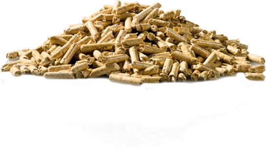 Une pile de granulés de bois cylindriques est étalée sur un fond blanc. Les granulés sont de couleur brun clair et de taille uniforme. Ils sont généralement utilisés comme combustible pour le chauffage ou comme litière pour les animaux.