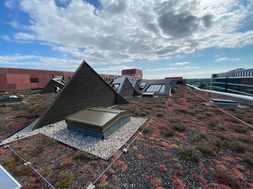 Ein Dach mit verstreuten dreieckigen und rechteckigen Strukturen, bedeckt mit grüner und roter Vegetation unter einem teilweise bewölkten Himmel. Im Hintergrund sind die umliegenden Gebäude zu sehen.