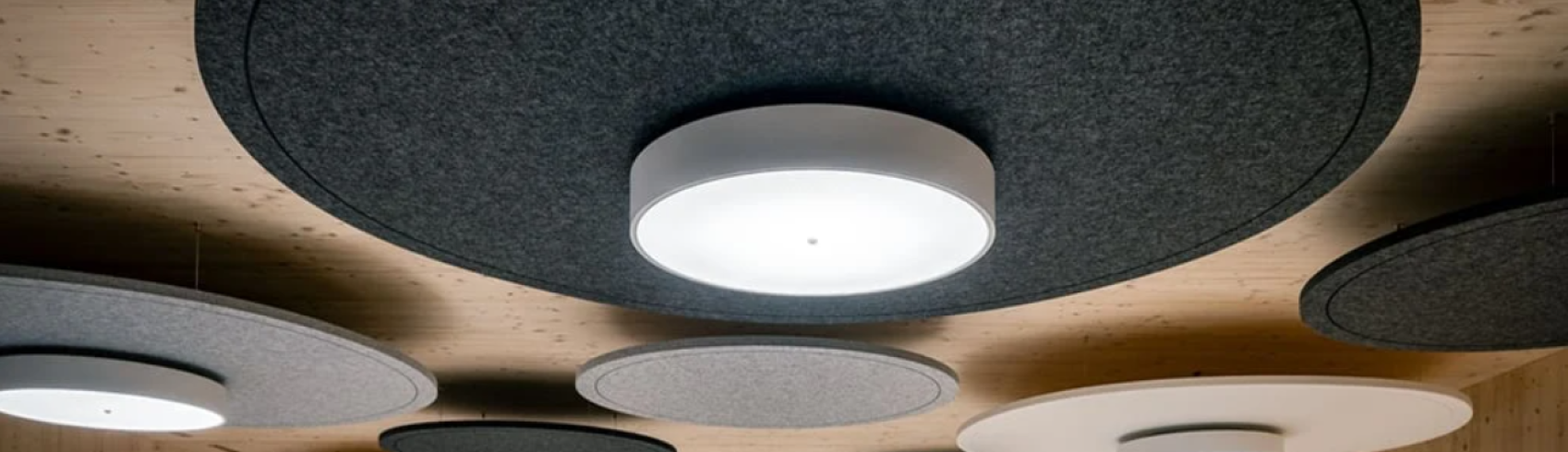 Große runde Akustikpaneele und kreisförmige Leuchten sind an einer hellen Holzdecke angebracht und schaffen ein modernes und stilvolles Design.