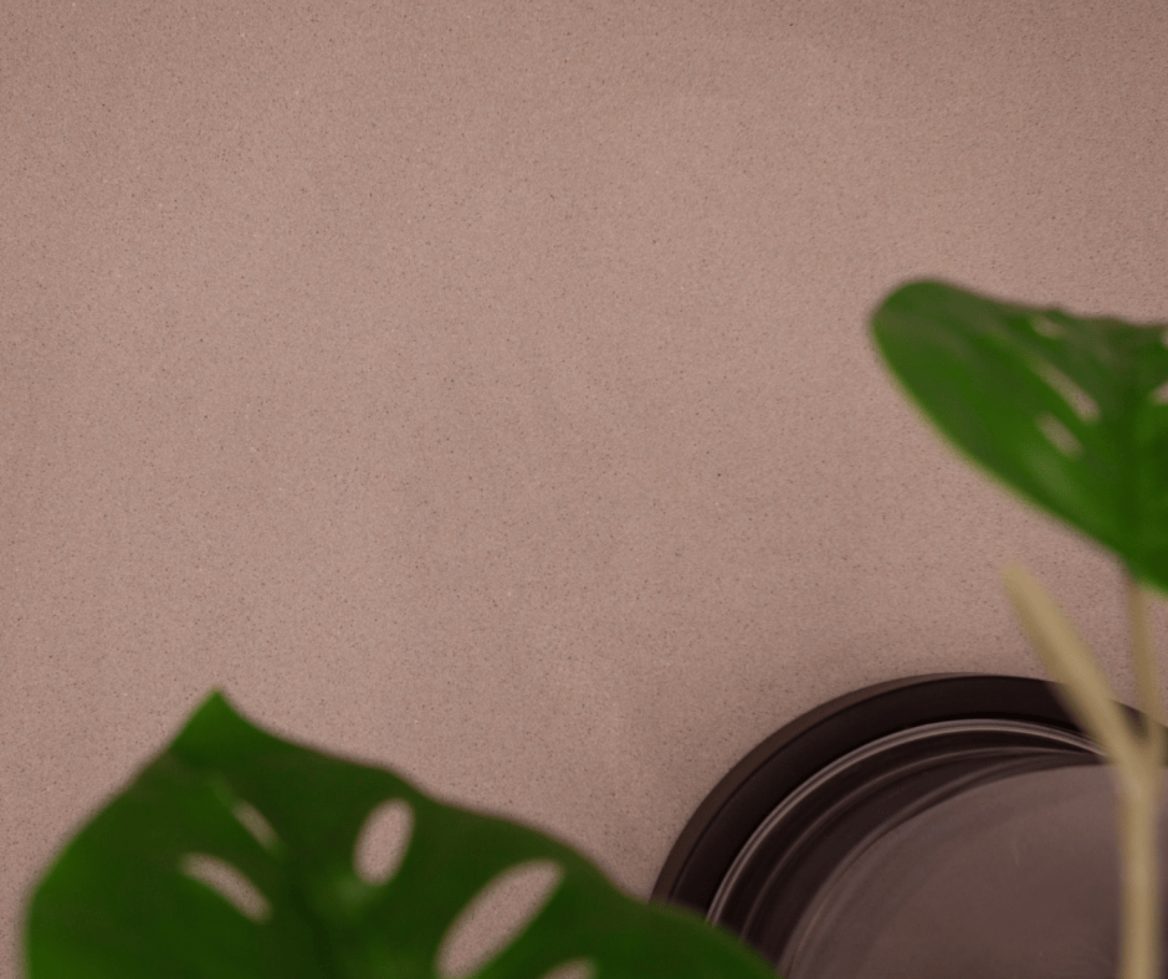 Deux feuilles de monstera vertes, partiellement visibles dans les coins inférieurs gauche et droit, et un plateau rond brun foncé près du coin inférieur droit, le tout sur un fond beige uni.